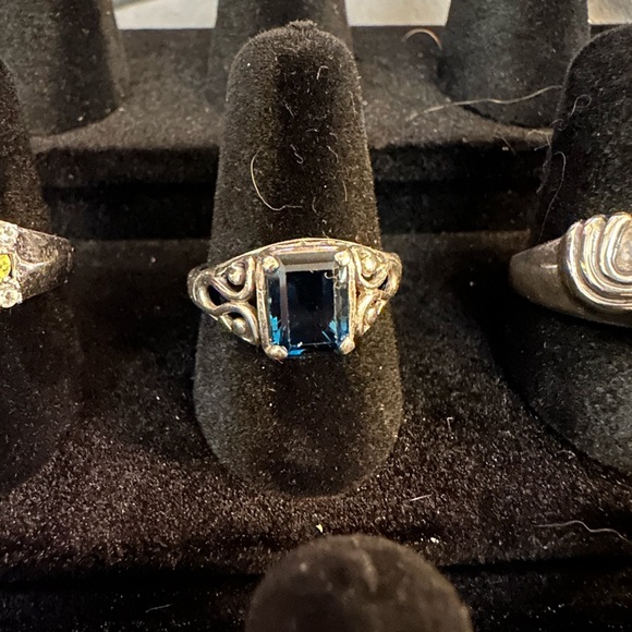 Southern Silver - Picture 9 of 16